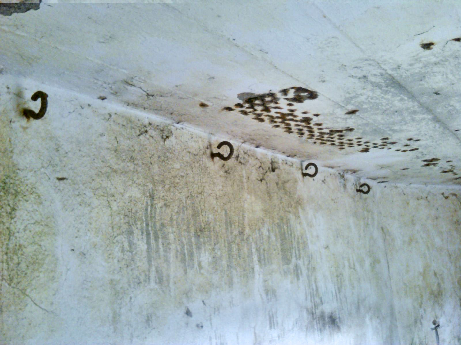 Ligne Maginot - B312 - ANSTAING - (Blockhaus pour canon) - Crochets pour les hamacs - Christian MOIGNEZ